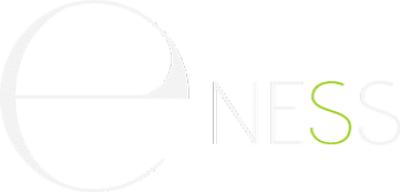 Logo E-NESS Formations
